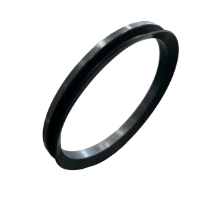 Seal, V-Ring