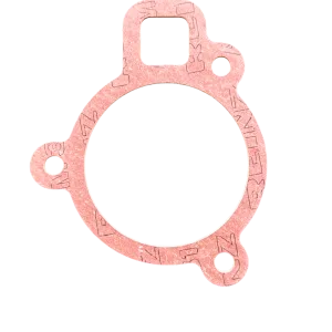 Gasket, Thermostat