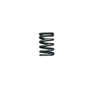 Valve Spring