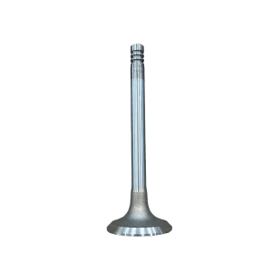Exhaust Valve