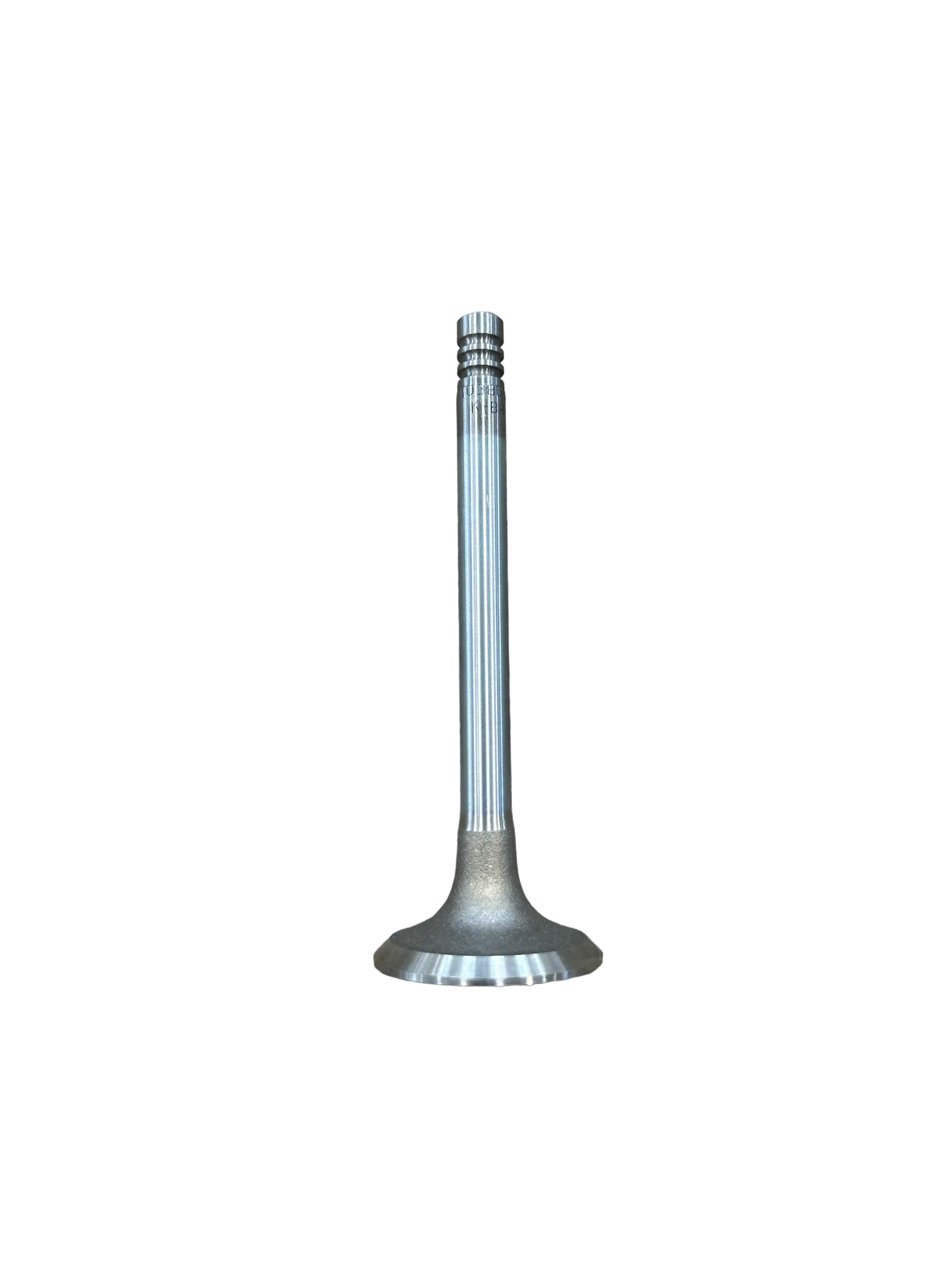 Exhaust Valve