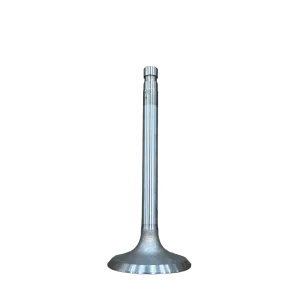 Inlet Valve